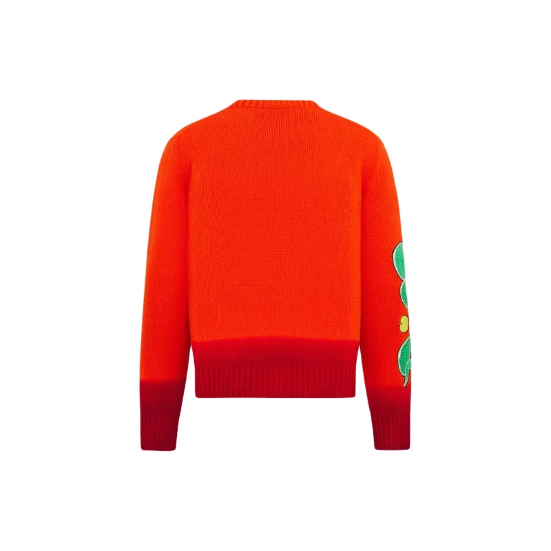 DIOR Dior And Kaws Capsule Collection SS25 Sweater Men's Orange-1