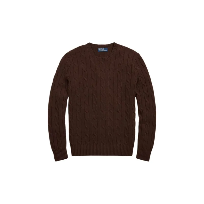 Polo Ralph Lauren SS25 Cashmere Sweater Men's Dark Coffee-0