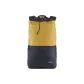 Yellow & Asphalt Blue