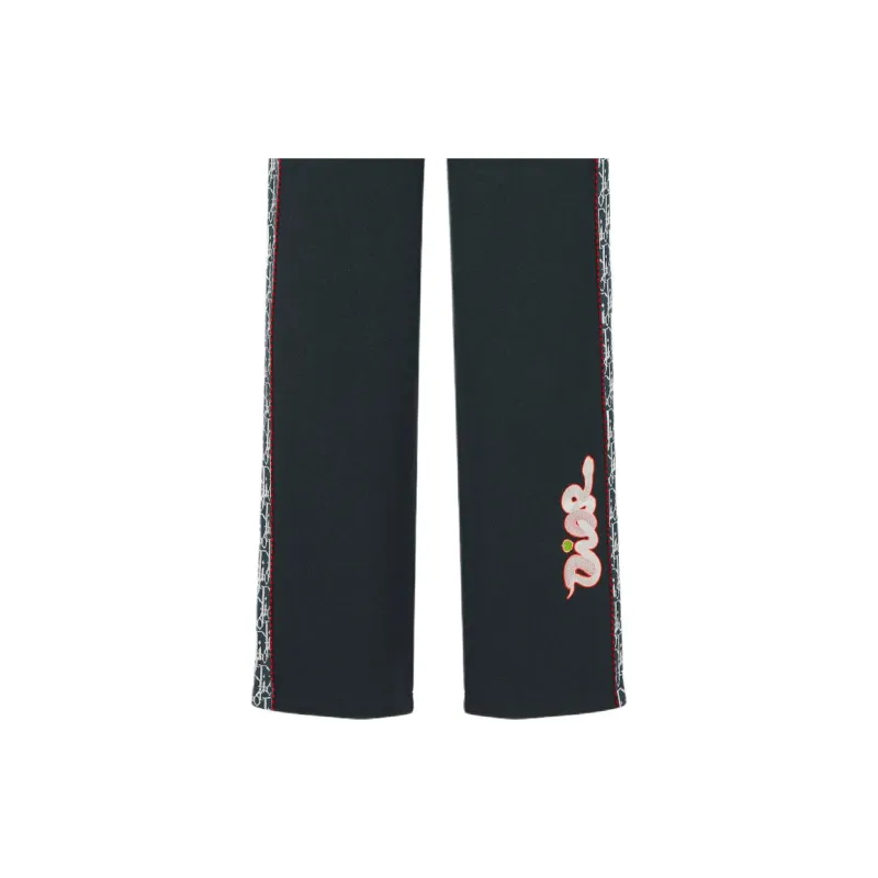 DIOR X Kaws Pants-4