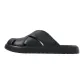 Obsidian Black