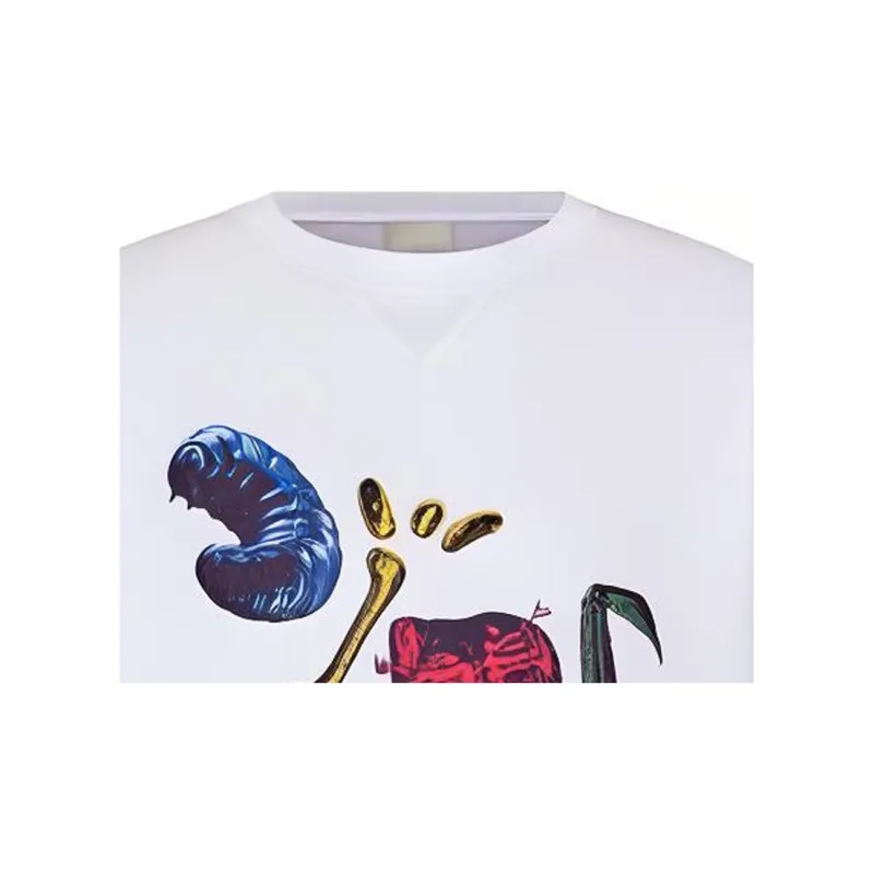 DIOR X Cactus Jack Oversized T Shirt-3