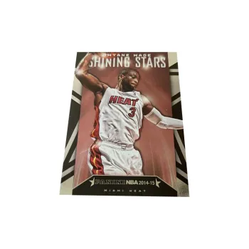 PANINI Heat Team Wade The Flash Star Classic Slam Dunk Selection Basketball Card Rare Card Sports Cards 1 Piece
