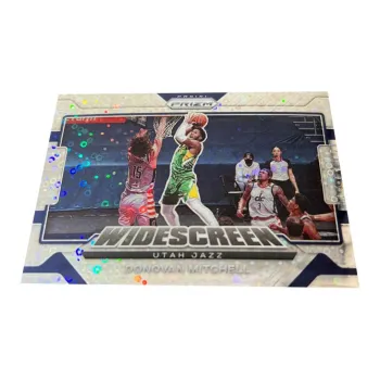 PANINI Sports Cards