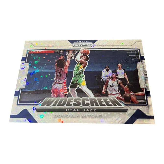 PANINI Sports Cards-0
