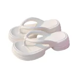 Cream White (Fashion Solid Color)