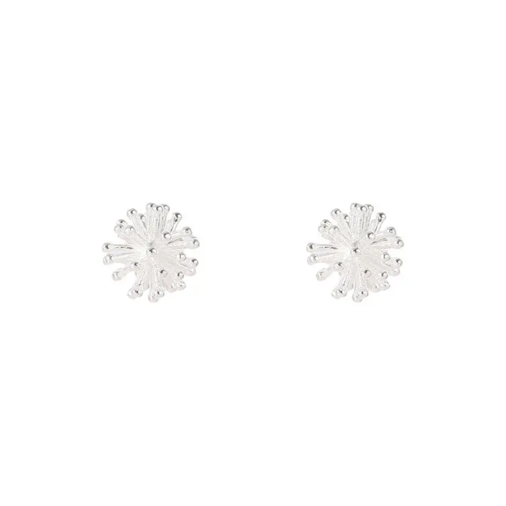 A CONG Studio S925 Silver Stud Earrings Women's-0