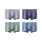4 Pack (Silver Gray+Smoke Gray+Lake Green+Lake Blue)