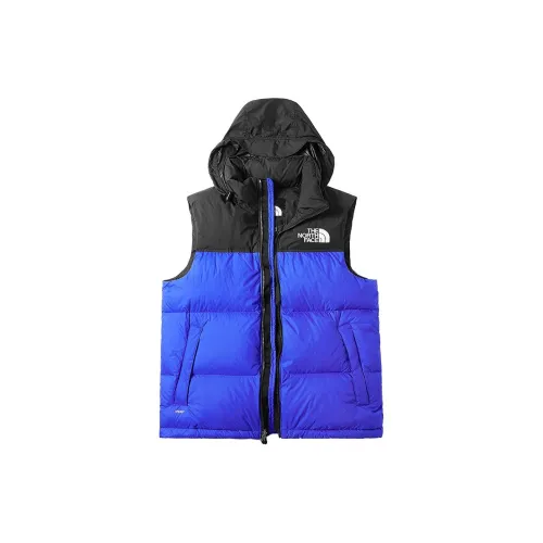 THE NORTH FACE 1996 Collection Nuptse Vest Men's Blue