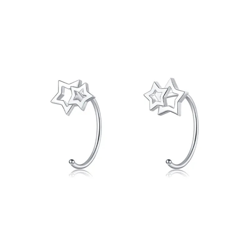 AIDIER 999 Fine Silver Earrings Women's-0