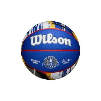 Wilson All Star Microfiber Composite Basketball Blue Size 7 Ball Match Unisex