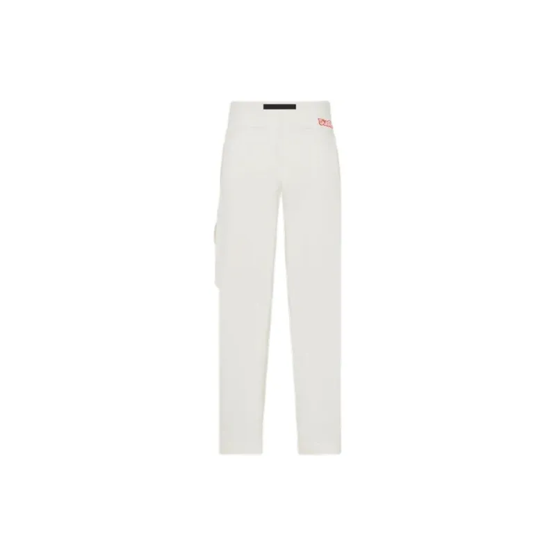 DIOR X Kaws Cargo Pants-1