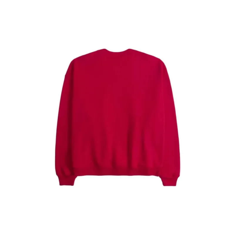 Hollister Snake Year Spring Collection Sweatshirts Unisex-1