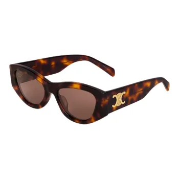 CELINE Triomphe 15 Sunglasses In Acetate