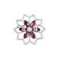 Dazzling Pink (Clematis)