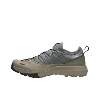 SALOMON Alpinway Anti Slip Wear Resistant Low Top Hiking Shoes Unisex Gray Brown