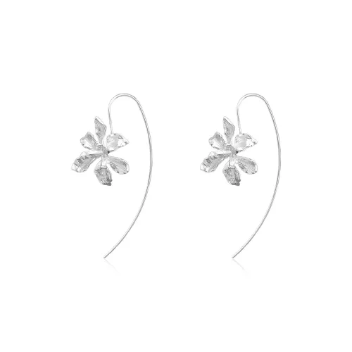 ZANC Earrings Women's
