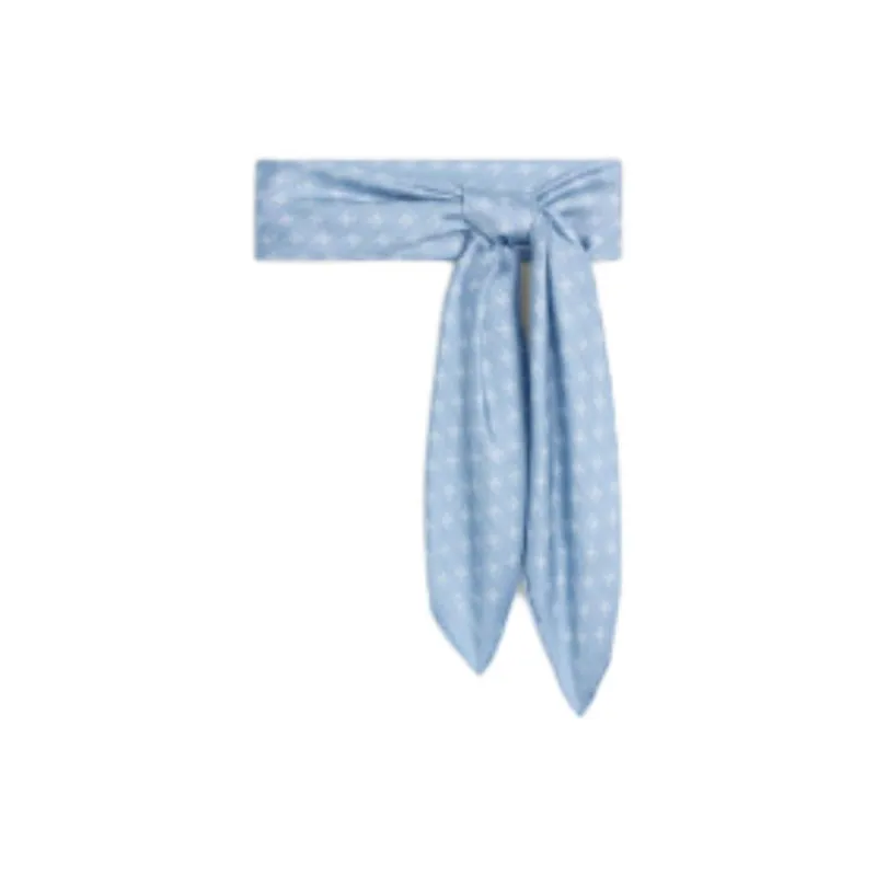 CELINE Mulberry Silk Silk Scarves Women's Blue-1