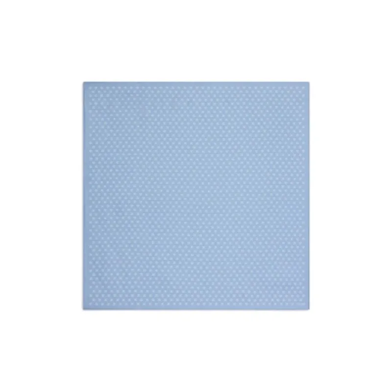 CELINE Mulberry Silk Silk Scarves Women's Blue-0