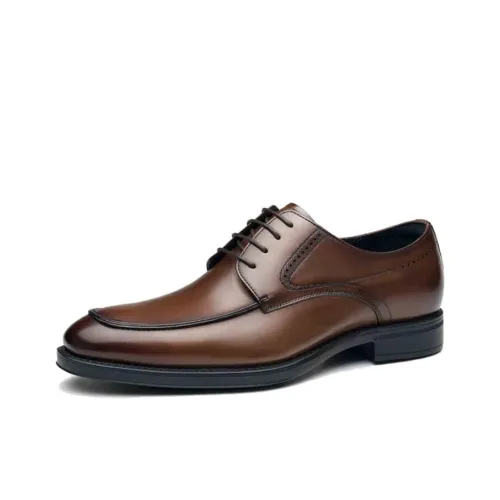 SAINT ANGELO Dress Shoes Men's Light Coffee