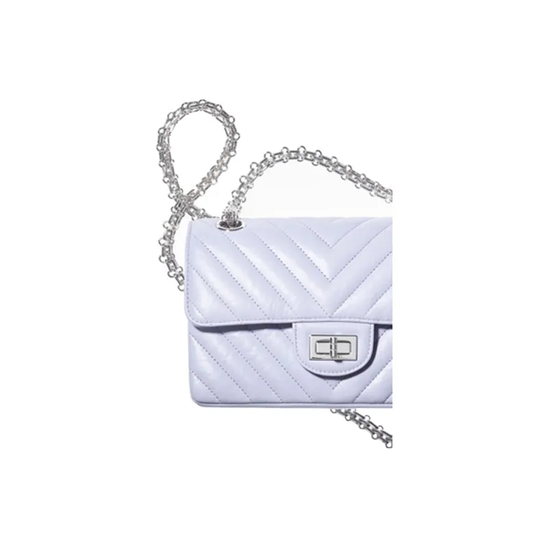 CHANEL 2.55 Crossbody Bags-4