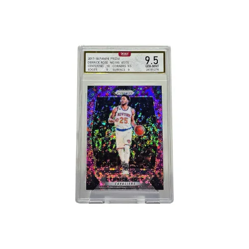 PANINI Graded Cards