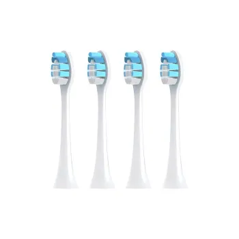 Fly Toothbrush Heads