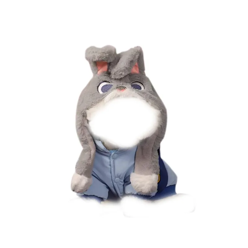 Disney Pet Clothing-0