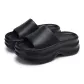 24081 Black