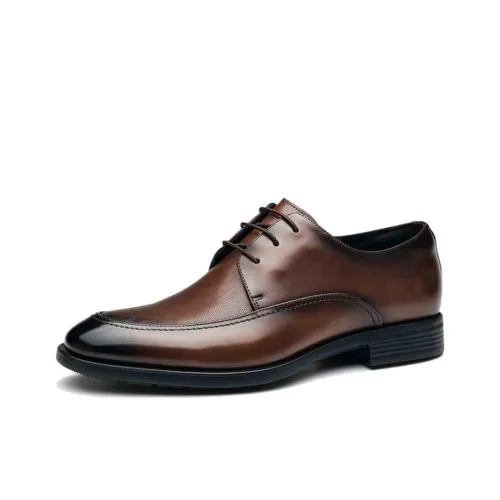 SAINT ANGELO Dress Shoes Men's Coffee