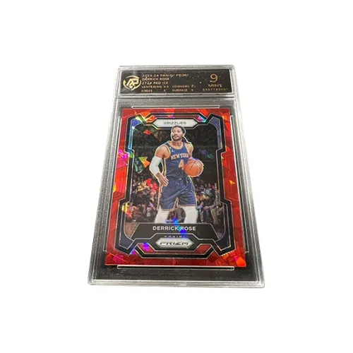 PANINI Graded Cards