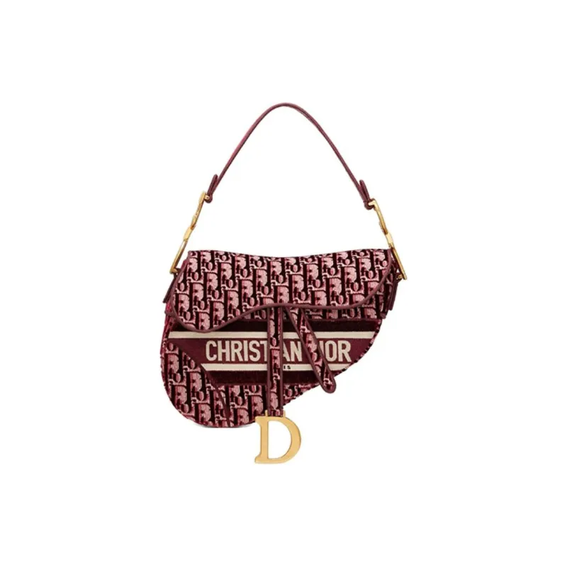 DIOR Saddle Shoulder Bags-0