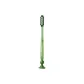 Long Head Toothbrush Single Piece (Dragon Well Green)