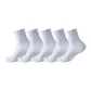 [Terry Sole]White 5
