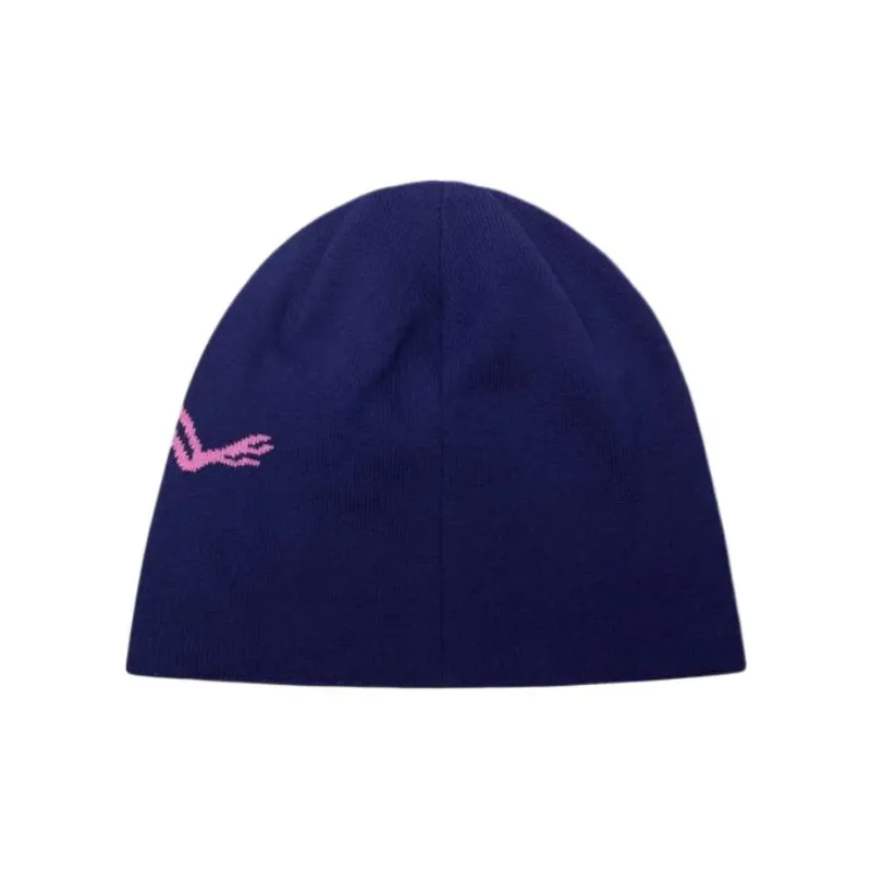 Arc'teryx Lightweight Bird Head Toque Beanie-1