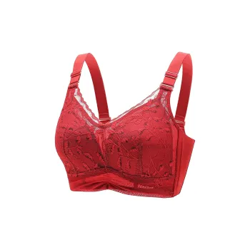 Lanza Women's Bras