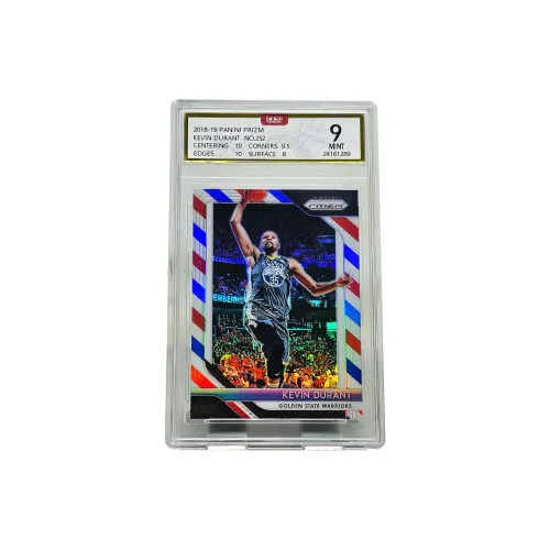 PANINI Graded Cards