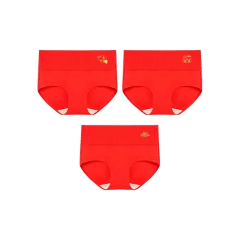 ALDOLA Underpants Women's 3 Pack