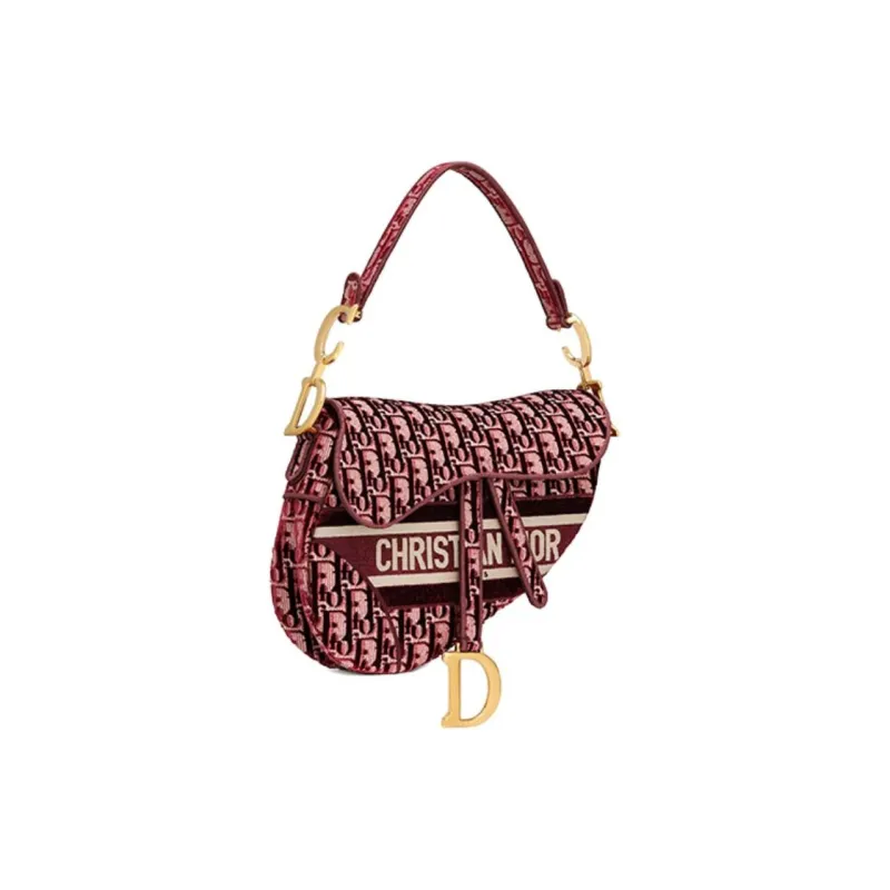 DIOR Saddle Shoulder Bags-1