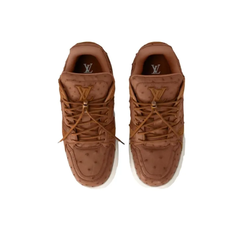 LOUIS VUITTON Lv Trainer Maxi Brown Ostrich-3