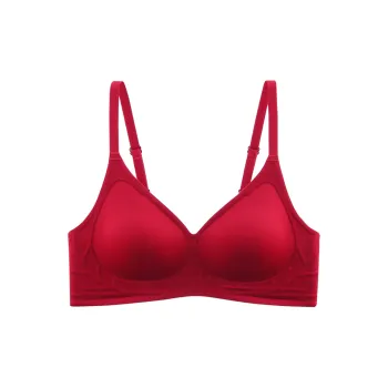 Lanza Bra Women's 2 Pack Burgundy