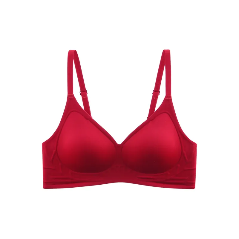 Lanza Bra Women's 2 Pack Burgundy-7
