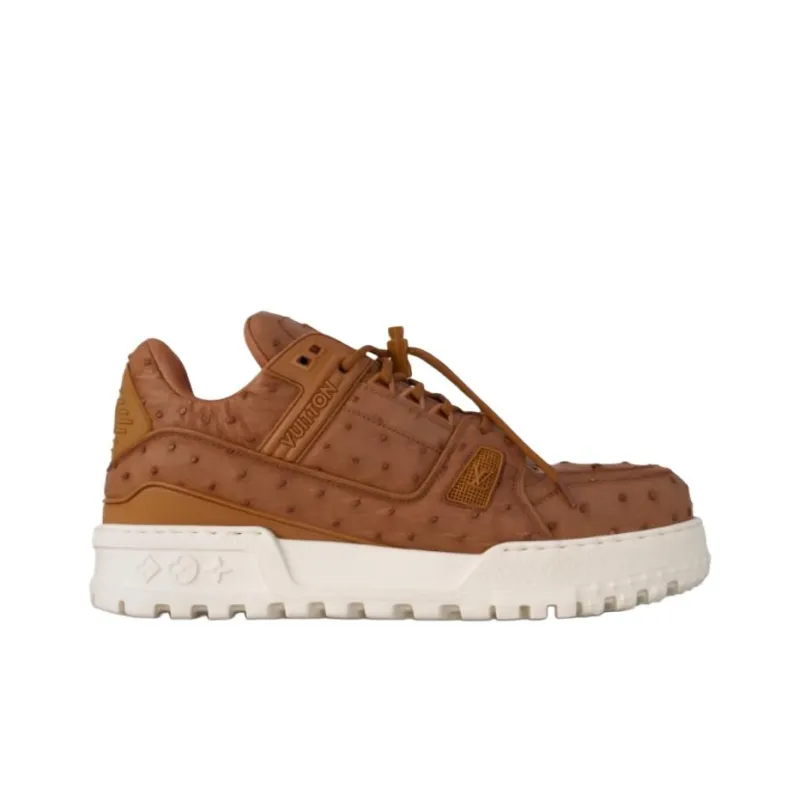 LOUIS VUITTON Lv Trainer Maxi Brown Ostrich-1