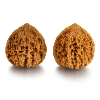 ZHUOJIN Walnut Fine Handicraft Handlebar Piece Unisex