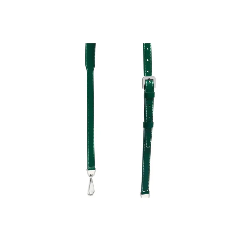 GOYARD Cow Leather Dog's Teeth Bag Straps Medium Size Unisex Green-3