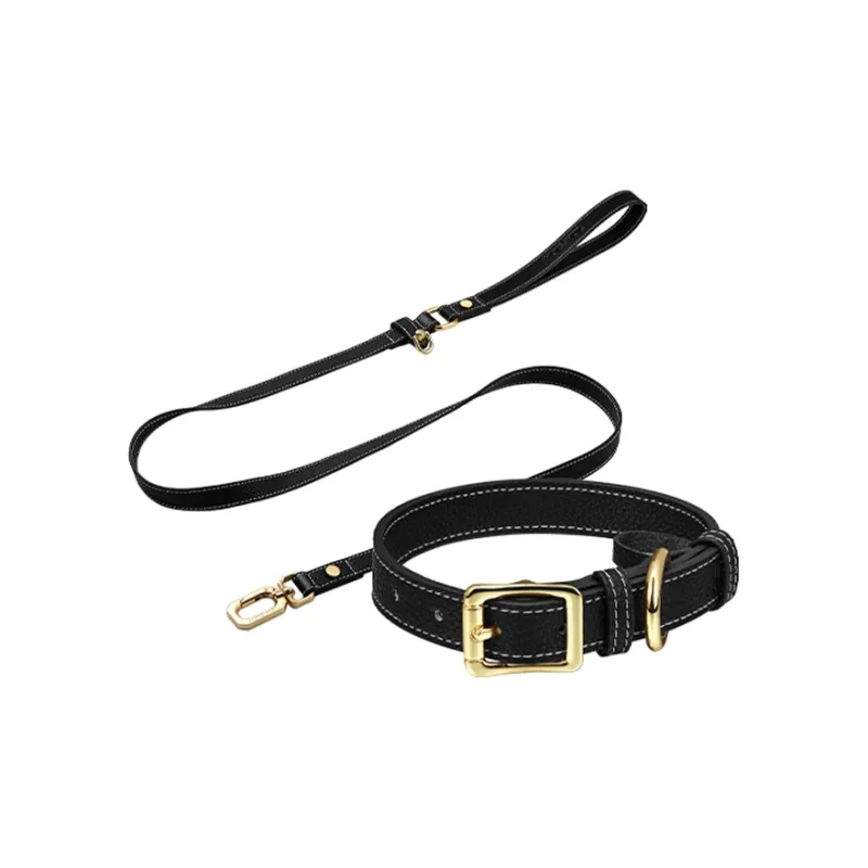 MARS MAIL Solid Color Collar Leashes Clothing Sets-3