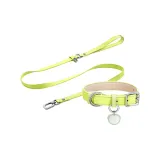 [Bamboo Green Exclusive Clothing Sets]Health Nameplates+Collar+Leash