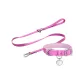 [Barbie Pink Exclusive Clothing Sets]Happy Nameplates+Collar+Leash