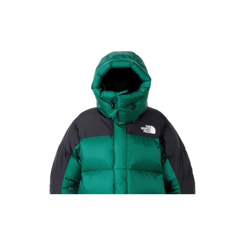 THE NORTH FACE Down Jacket Men's Green-2