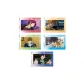 Laser Photo Card Random One Piece